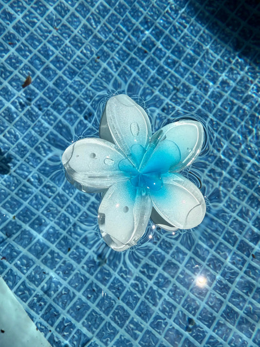 Pince Tahiti bleu MaisonPerla Collection