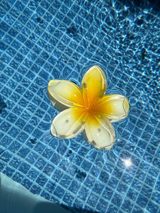 Pince Tahiti orange MaisonPerla Collection