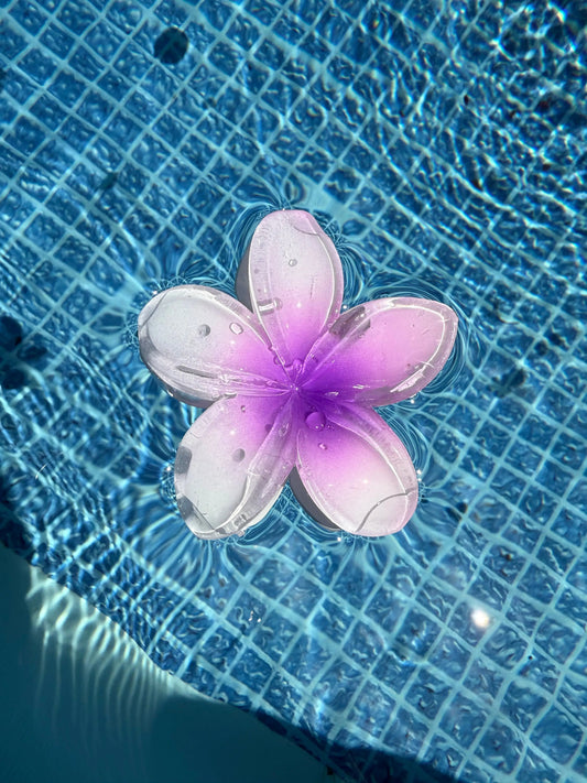 Pince Tahiti violette MaisonPerla Collection